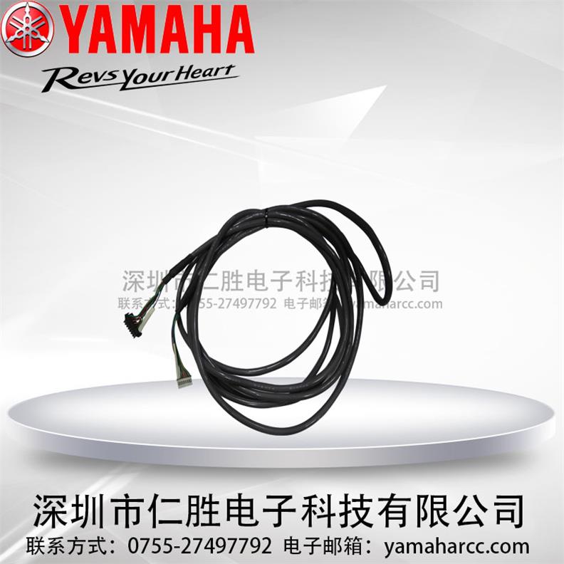 YAMAHA KGA-M66N100000  ԃhr(ji)
